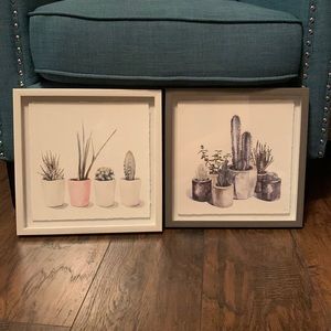 Two succulent pictures wall hanging home decor